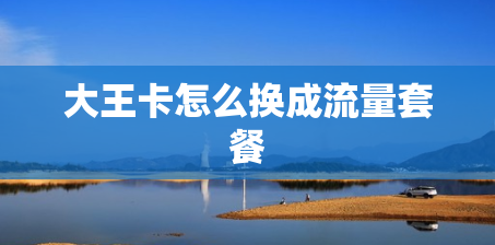 大王卡怎么换成流量套餐 大王卡怎么换成流量套餐
