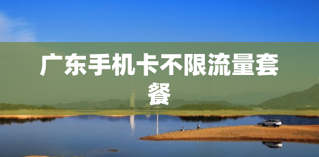 广东手机卡不限流量套餐