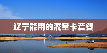 辽宁能用的流量卡套餐 辽宁能用的流量卡套餐