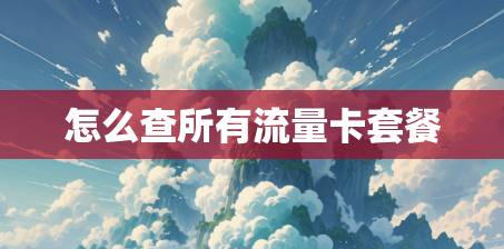 怎么查所有流量卡套餐