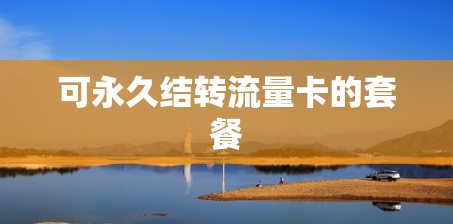 可永久结转流量卡的套餐