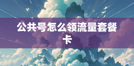 公共号怎么领流量套餐卡