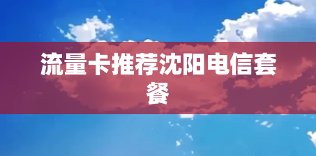 流量卡推荐沈阳电信套餐