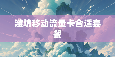 潍坊移动流量卡合适套餐