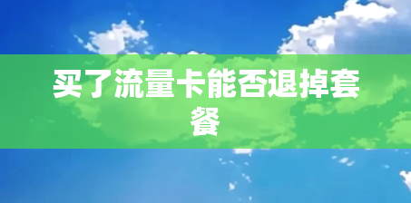 买了流量卡能否退掉套餐