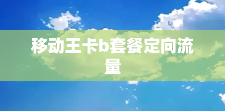 移动王卡b套餐定向流量 移动王卡b套餐定向流量