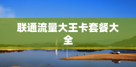 联通流量大王卡套餐大全