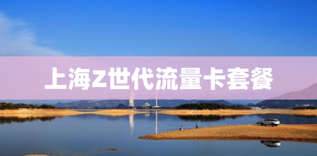 上海Z世代流量卡套餐