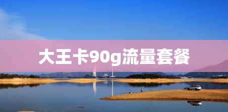 大王卡90g流量套餐