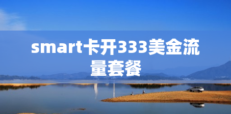smart卡开333美金流量套餐